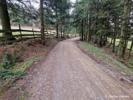 Sanacija gozdnih cest (4)